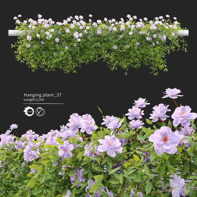 Hanging Plant 37 3D Model Hanging Plant 37 3D Model