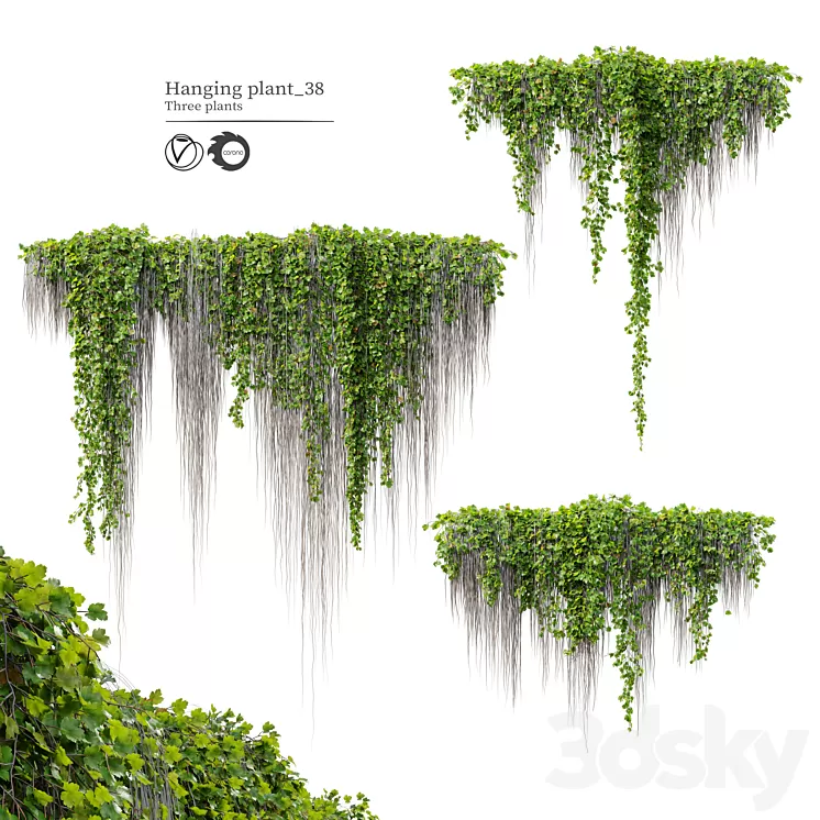 Hanging Plant 38 3D Model Free Download Hanging Plant 38 3D Model Free Download