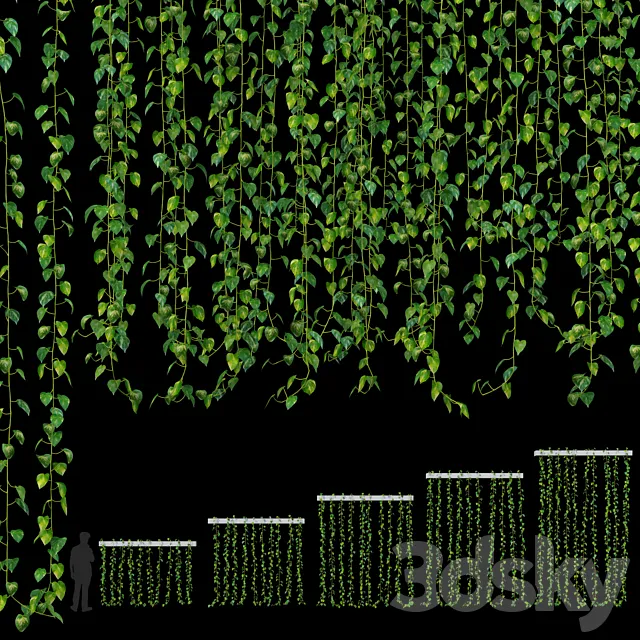 Hanging plant 3D Model