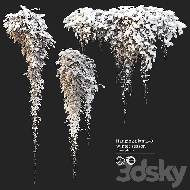 Hanging plant 40 3D Model