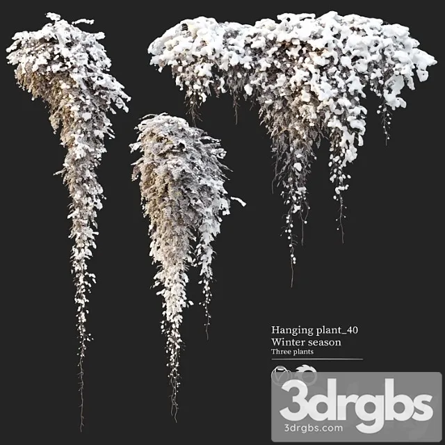 Hanging plant 40 Hanging plant 40