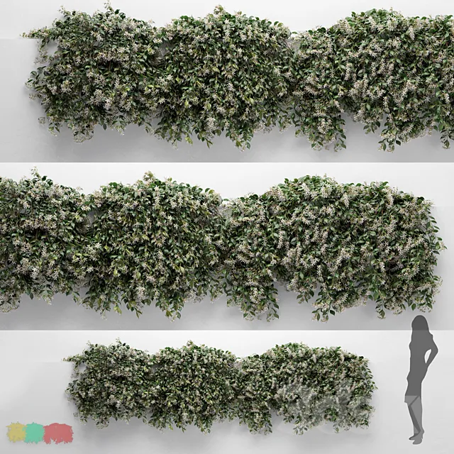 Hanging Plant – ChoisyaTernata – 3 Modular Pieces 3D Model Hanging Plant – ChoisyaTernata – 3 Modular Pieces 3D Model