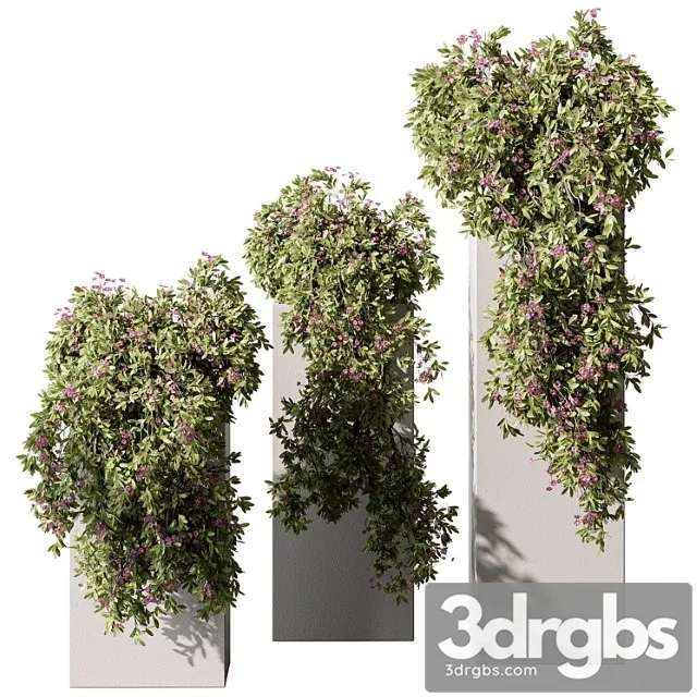 Hanging Plant in Box Outdoor Plants 454 3D Model Download