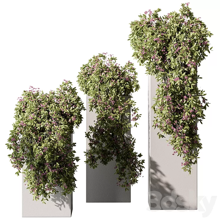 Hanging Plant in Box – Outdoor Plants 454 3D Model Free Download