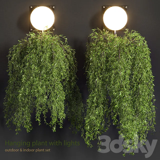 Hanging Plant with Lights 3D Model