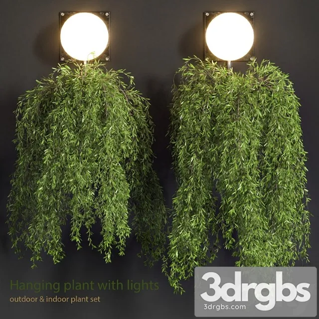 Hanging Plant With Lights 6 3D Model Download