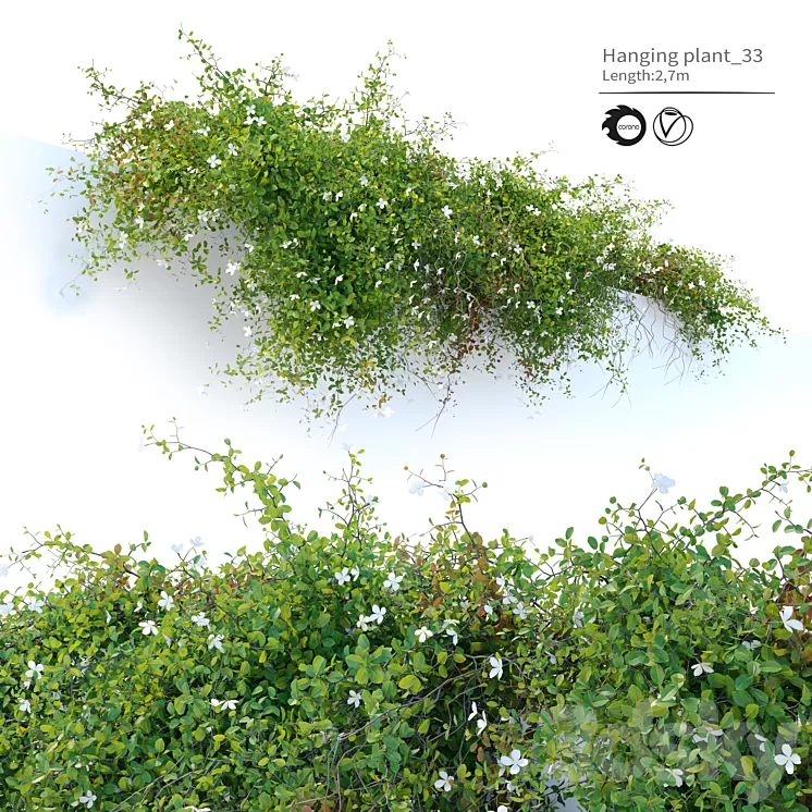 Hanging plant_33 3D Model Free Download
