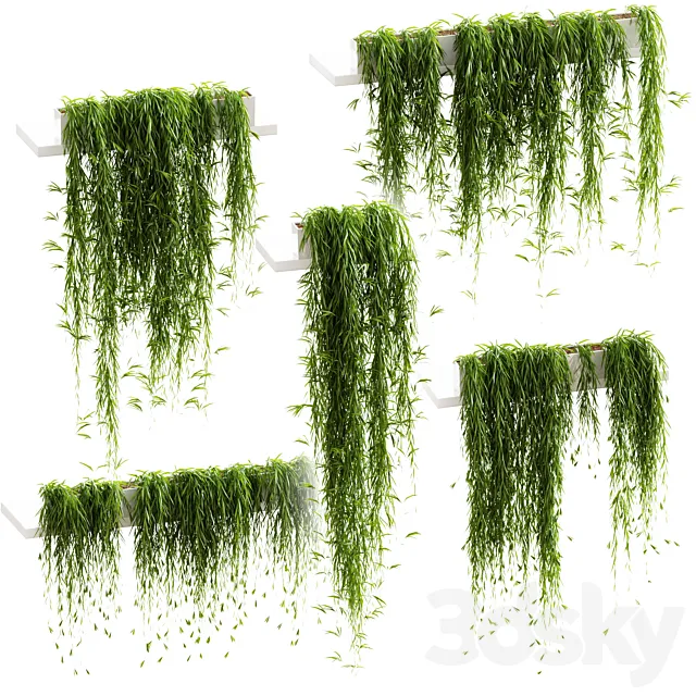Hanging plants for shelves. 5 models. set 3 3DModel Hanging plants for shelves. 5 models. set 3 3DModel