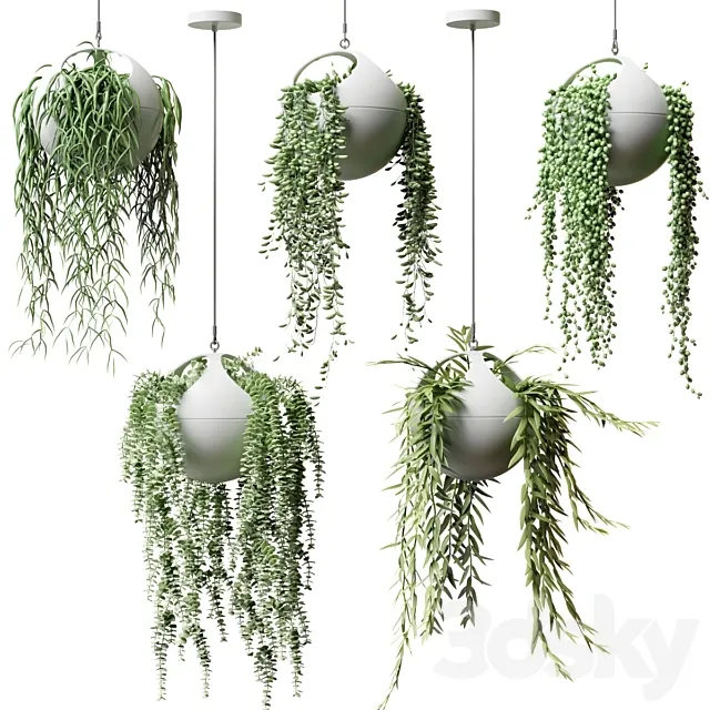 Hanging plants in flower pots | Hanged Plants in spherical hanging planters 3DModel