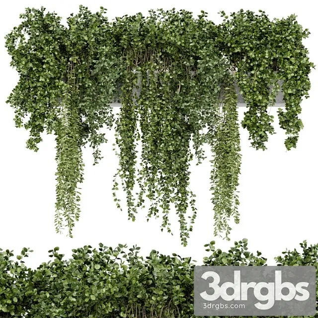 Hanging plants in rusty concrete pot – set 353 Hanging plants in rusty concrete pot – set 353