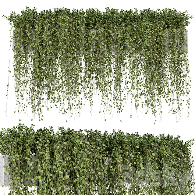 Hanging Plants in rusty Concrete Pot – Set 509 3D Model Hanging Plants in rusty Concrete Pot – Set 509 3D Model