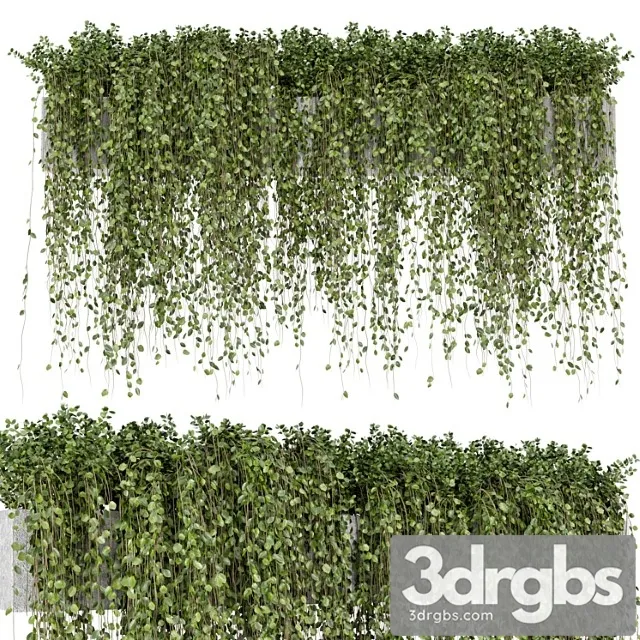 Hanging plants in rusty concrete pot – set 509 Hanging plants in rusty concrete pot – set 509