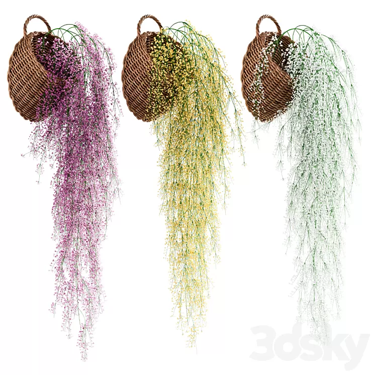 Hanging plants in wicker pots 3D Model