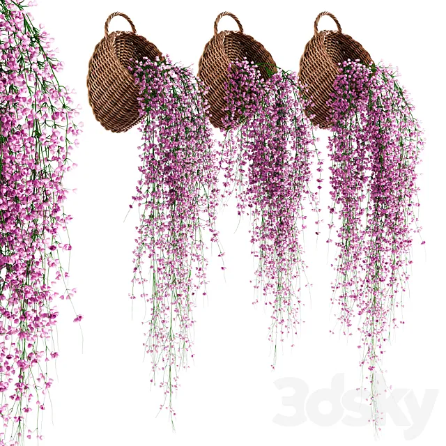 Hanging plants in wicker pots v2 3D Model Hanging plants in wicker pots v2 3D Model