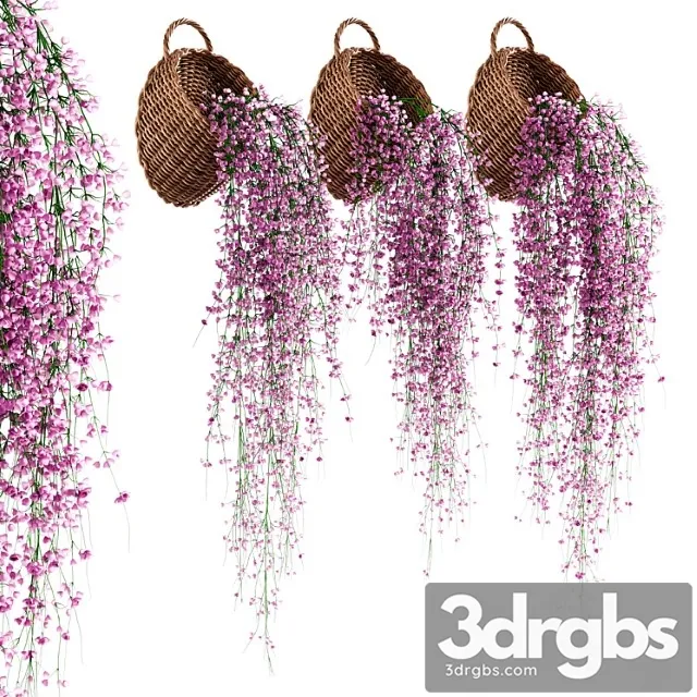 Hanging plants in wicker pots v2 Hanging plants in wicker pots v2