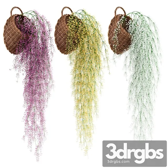 Hanging plants in wicker pots Hanging plants in wicker pots