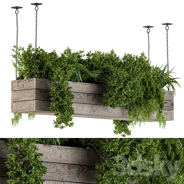 Hanging Plants in Wooden Box 3D Model Hanging Plants in Wooden Box 3D Model