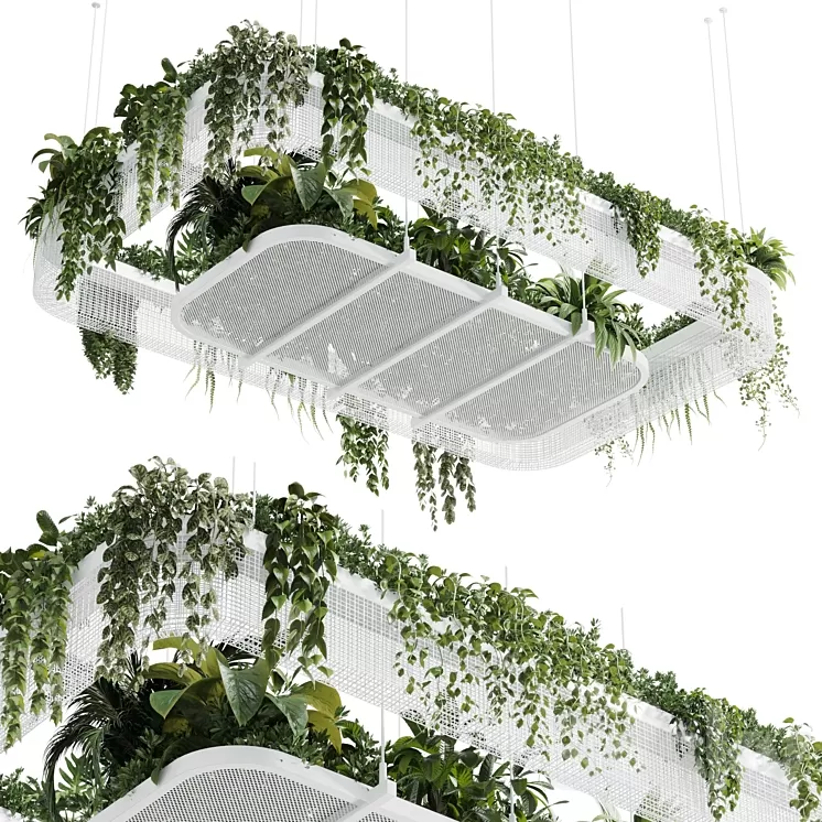 Hanging plants – indoor plant 323 corona 3D Model Free Download