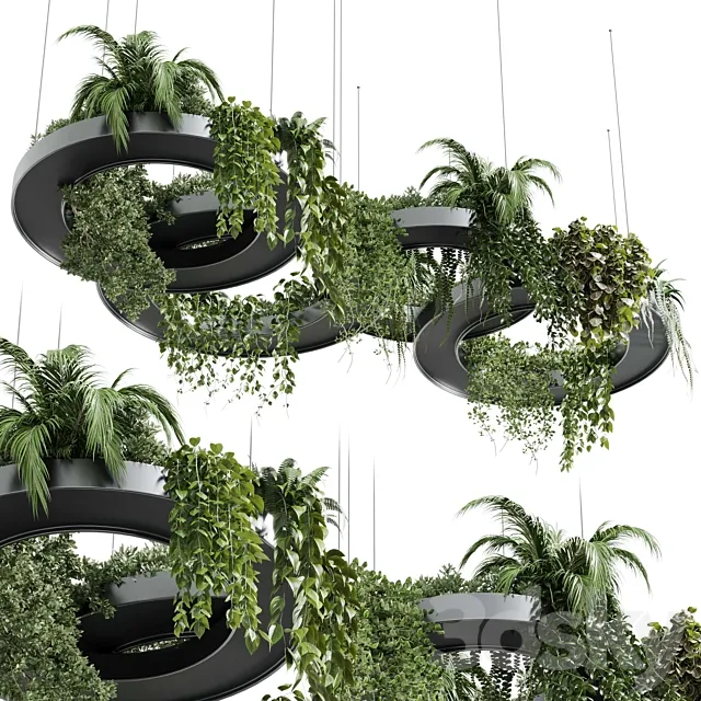 Hanging Plants – Indoor plants 309 3D Model