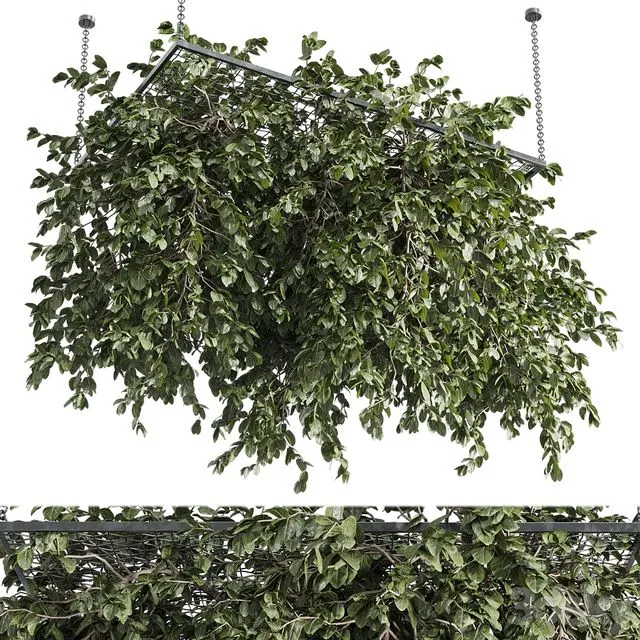 Hanging plants – outdoor plant set 171 3D Model
