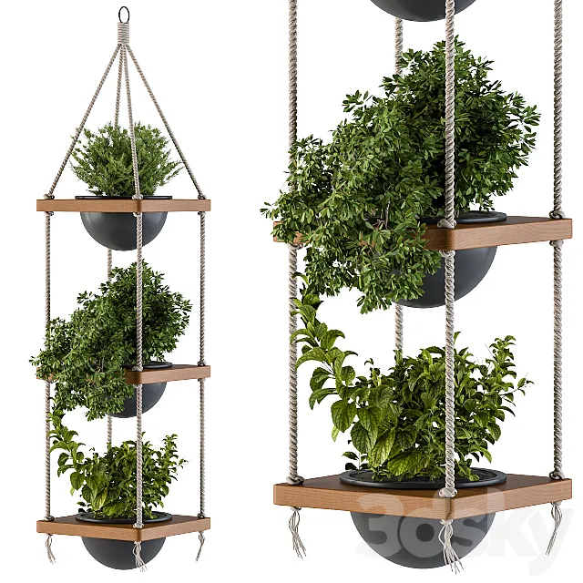 Hanging Plants Rope and Wood 3D Model Hanging Plants Rope and Wood 3D Model