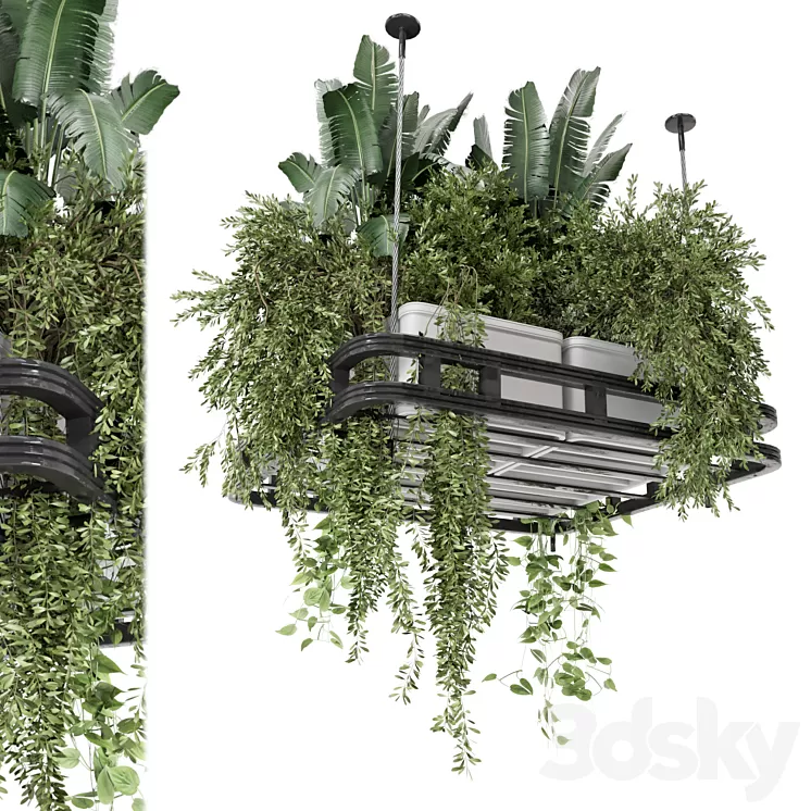 Hanging Plants Set in Concrete Pot – Set 1113 3D Model Free Download