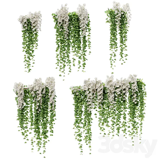 Hanging plants with white orchid flowers 3D Model