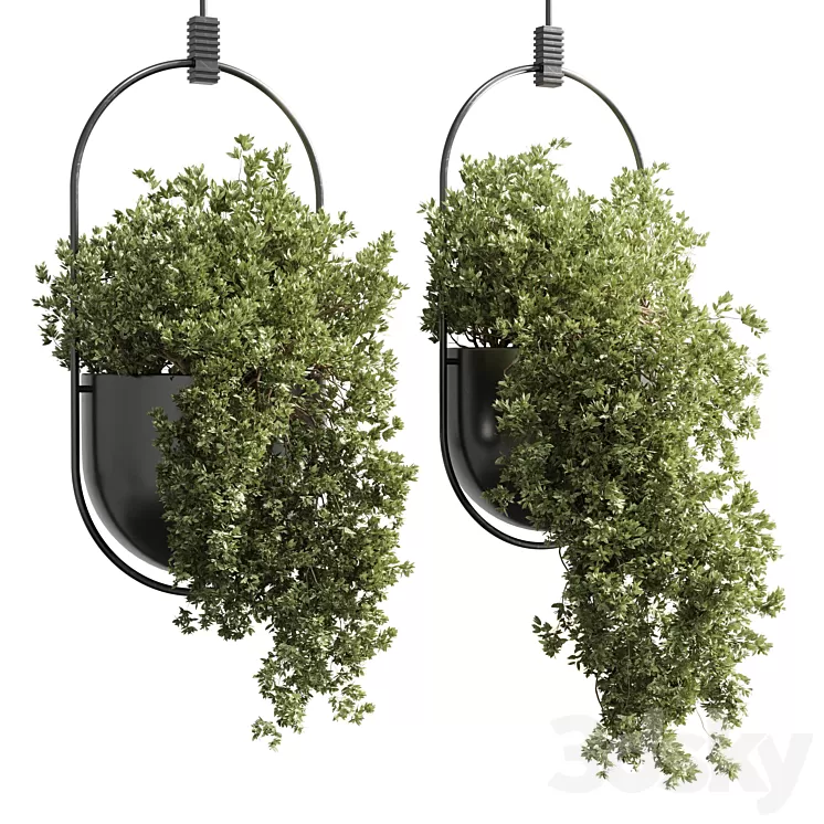 hanging pot collection indoor outdoor Indoor plants15-metal bax vase corona 3D Model Free Download