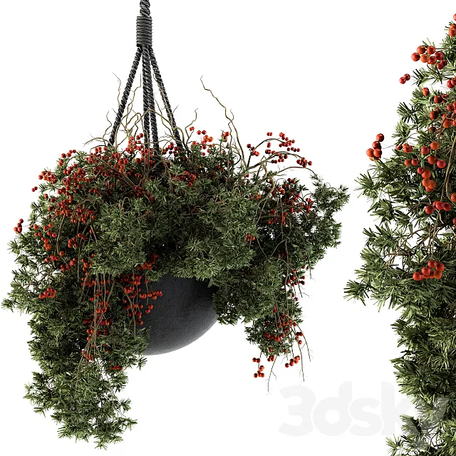 Hanging Pot plant – Set 102 3D Model