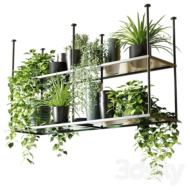 Hanging shelf with plants for the kitchen 3D Model