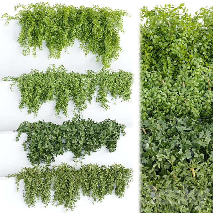 Hanging wall plants collection vol 64 3D Model Free Download