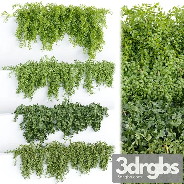 Hanging wall plants collection vol 64 Hanging wall plants collection vol 64