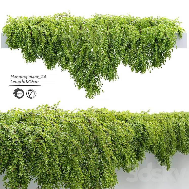 Hanging_Plant_24 3D Model Free Download