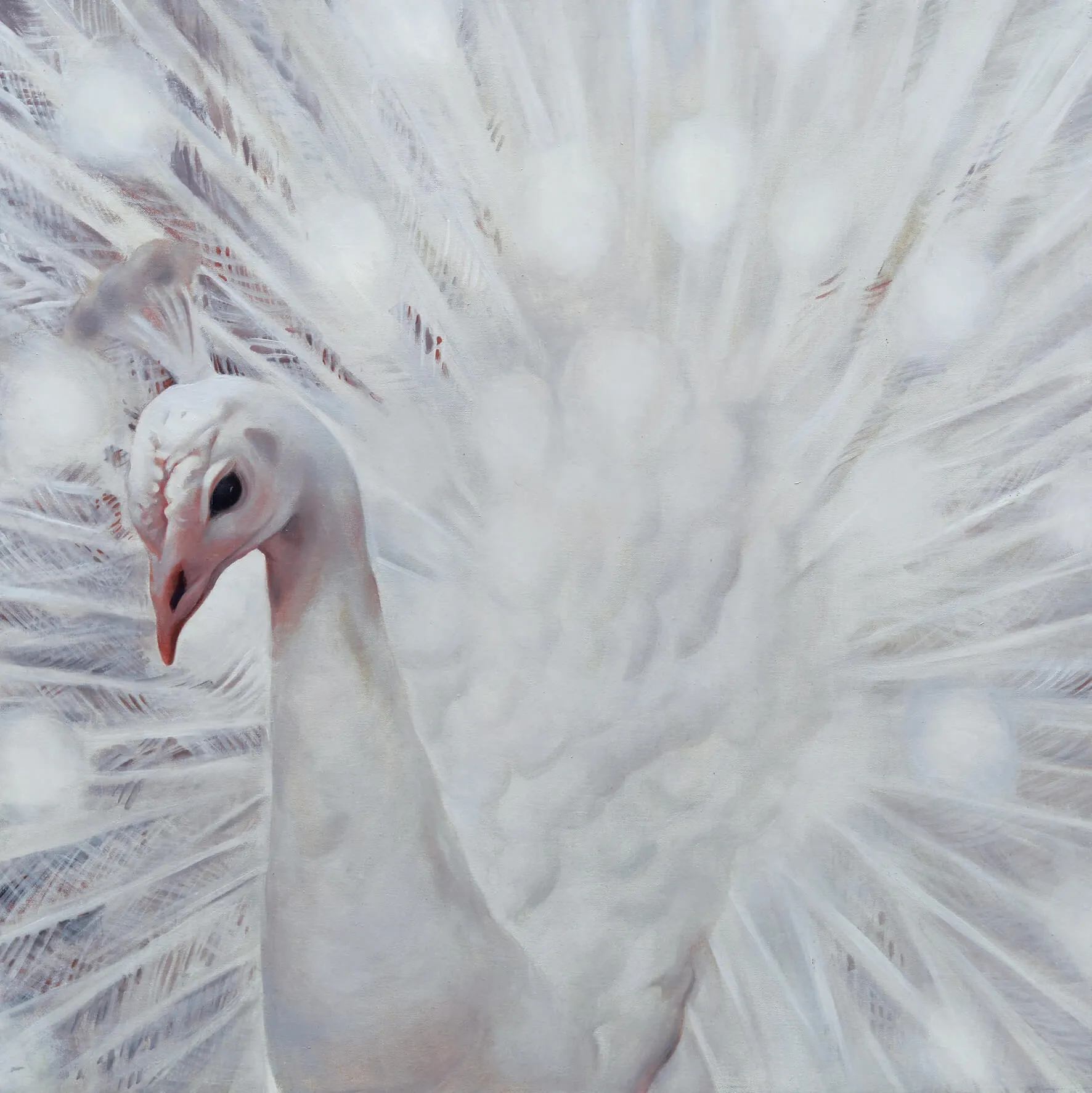 Hasmik Avetisyan  – Pictures art 22 3D Model