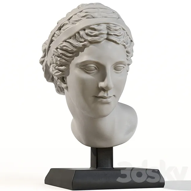 Head of aphrodite 3D Model Head of aphrodite 3D Model