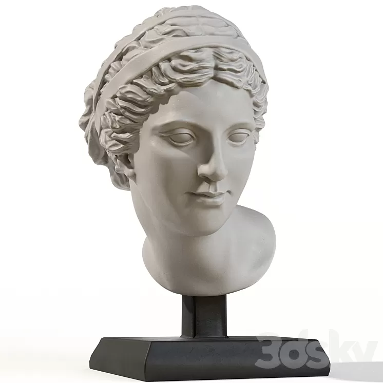 Head of aphrodite 3D Model Free Download