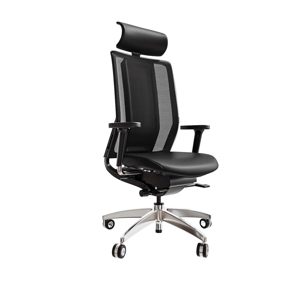 Health office – Armchair Imedic Limited 3D Model Health office – Armchair Imedic Limited 3D Model