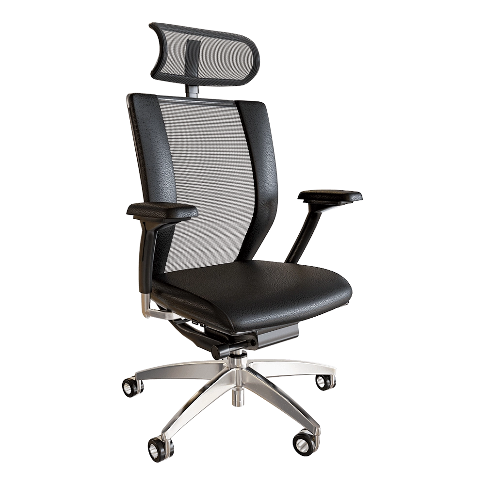 Health office – Armchair Titan Limited 3D Model Health office – Armchair Titan Limited 3D Model