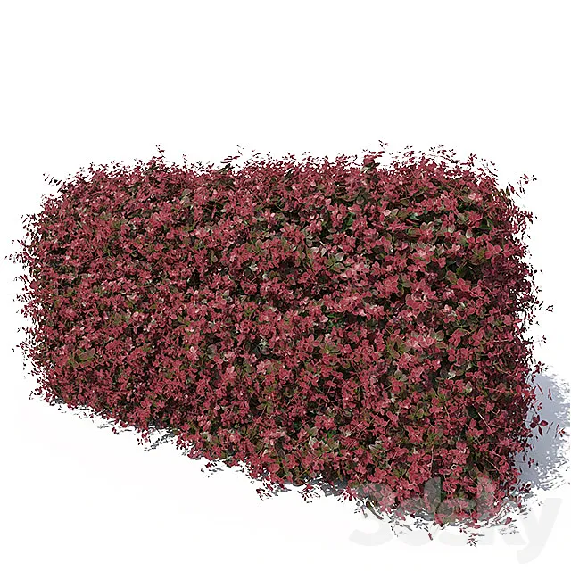 Hedge 3D Model