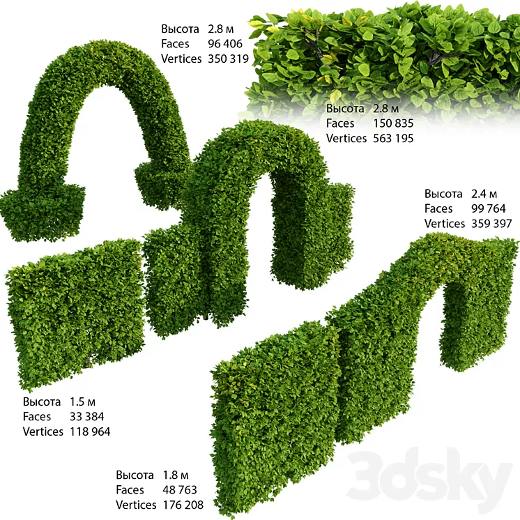 Hedge 3D Model Hedge 3D Model