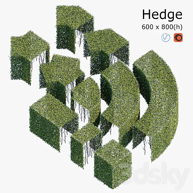 Hedge 6×8 3D Model