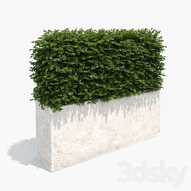 Hedge white plantere 3D Model