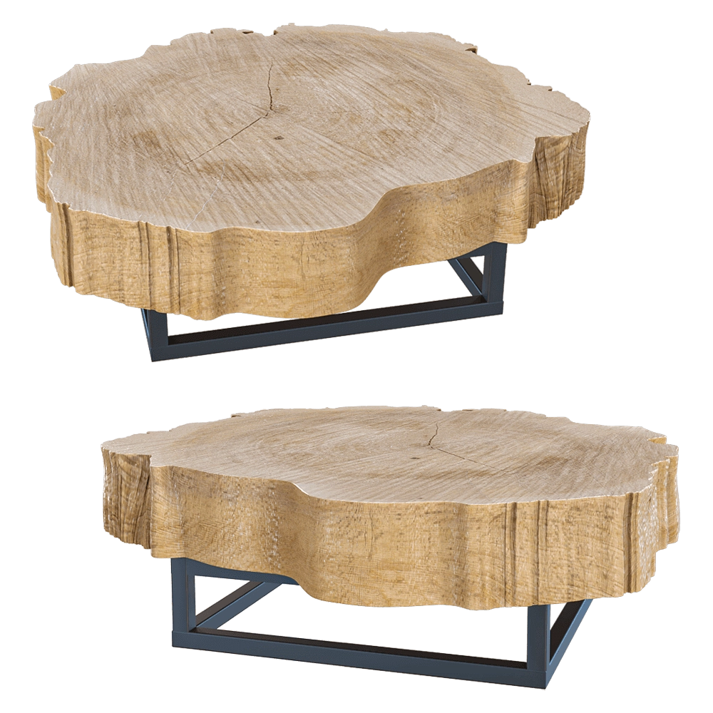 Heerenhuis Manufactuur – Coffee table Poplar 20 3D Model
