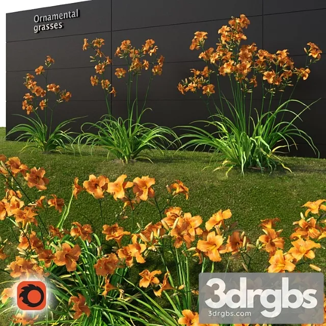 hemerocallis lilioasphodelus (corona version) hemerocallis lilioasphodelus (corona version)