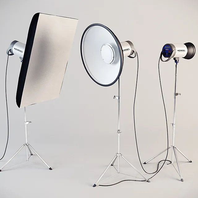 Hensel Company 3D Model