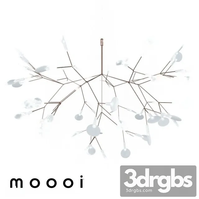 Heracleum II 3D Model Download