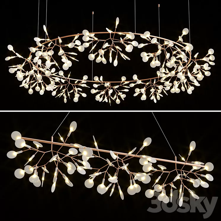 Heracleum the Big O Collection 3D Model Free Download