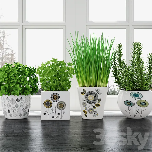 Herbs in pots 3D Model Herbs in pots 3D Model