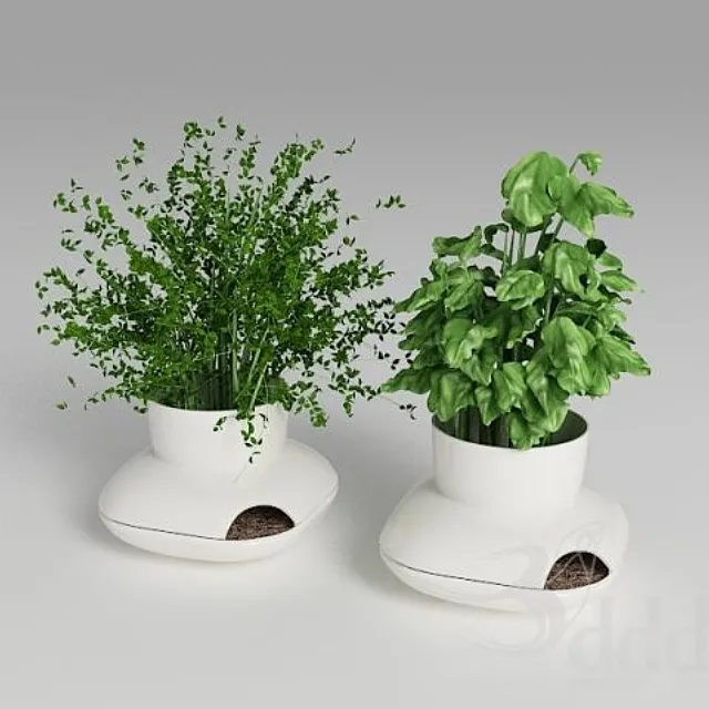 Herbs Sagaform 3DModel Herbs Sagaform 3DModel