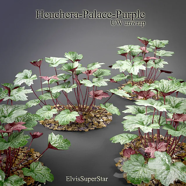 Heuchera – Palace – Purple 3DModel Heuchera – Palace – Purple 3DModel